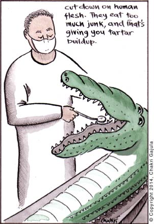 A dentist to a crocodile/alligator 'Cut down on human flesh.  They eat too much junk, and that is giving you tartar buildup'