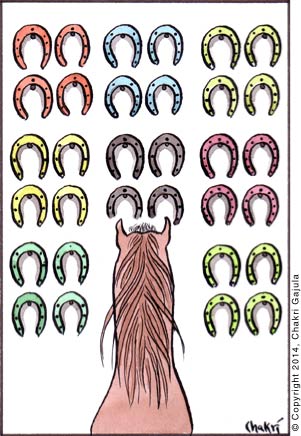 A female horse, mare, standing in front of her horse shoe collection: shoes in various colors 