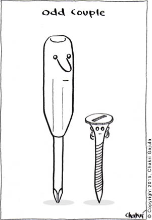 Odd Couple: A star-tipped screw driver (husband) shown with a flat-tipped screw (wife)