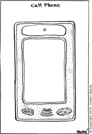 a biological cell in the shape of a cell phone